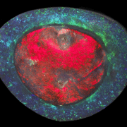 the-flame-queen-opal