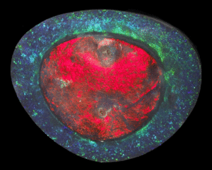 Famous Opals, and Famous People Who Love Them