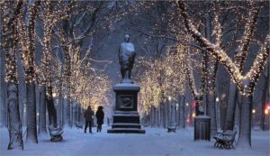 Central Park Christmas Lights