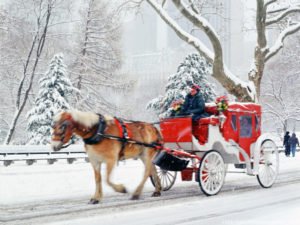 free-christmas-central-park-new-york-wallpaper_1024x768_88122