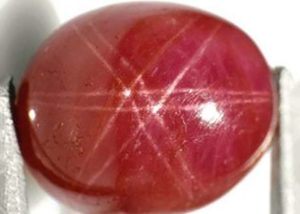 The Neelanjali Ruby