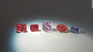 Five Hero Diamonds in The 2017 Pink Tender