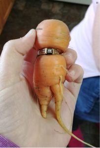 Carrot Wrapped Around Engagement Ring