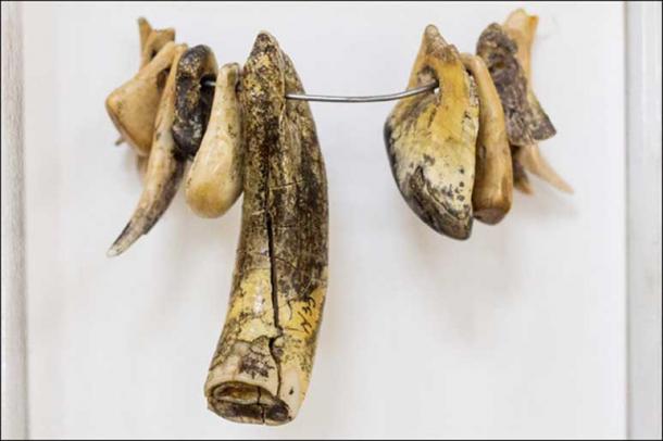 Extinct Denisovans from Siberia Made Stunning Jewelry