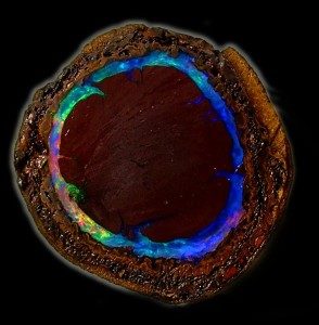 Yowah Nut Opal