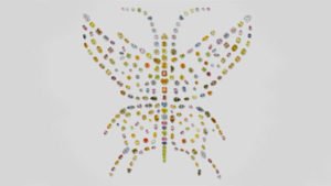The Aurora Butterfly of Peace, via GIA