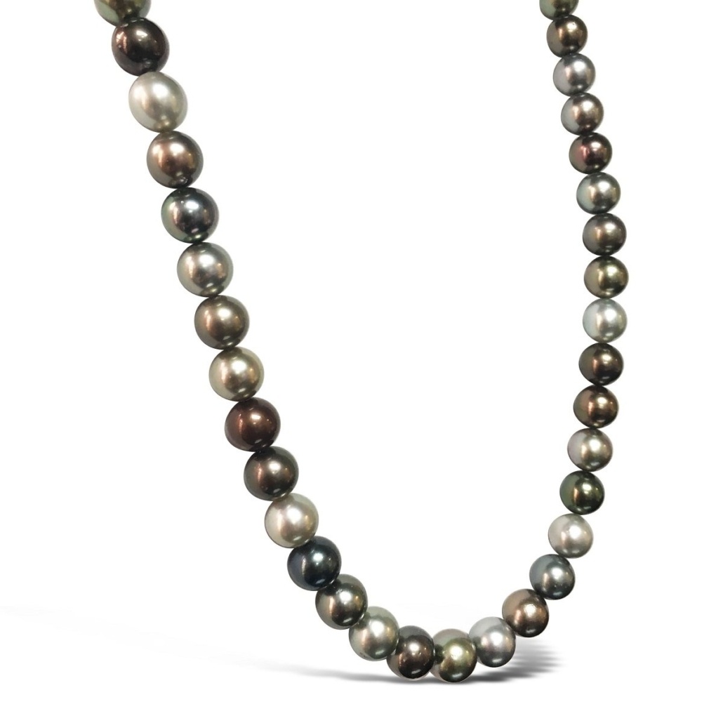 Tahitian Melody 1006-41