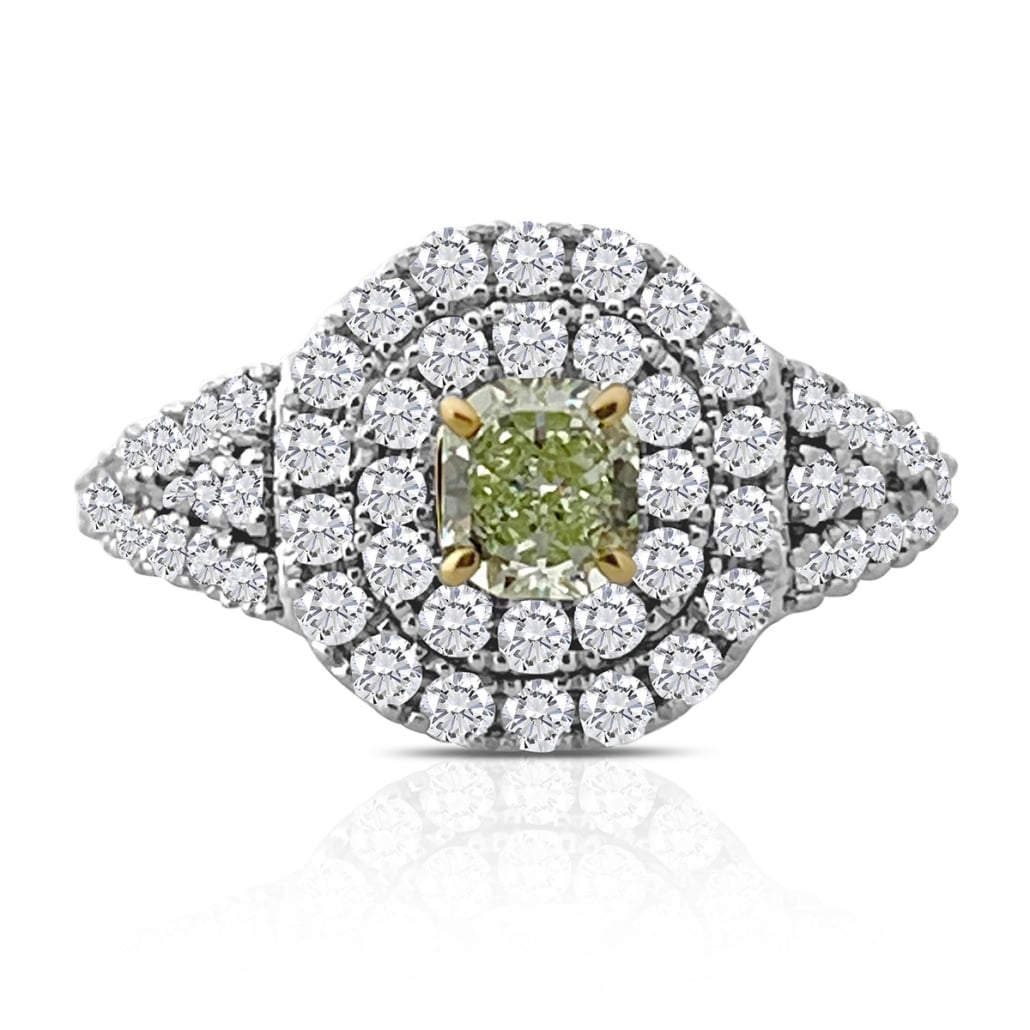 Verdant Showcase  2109-13