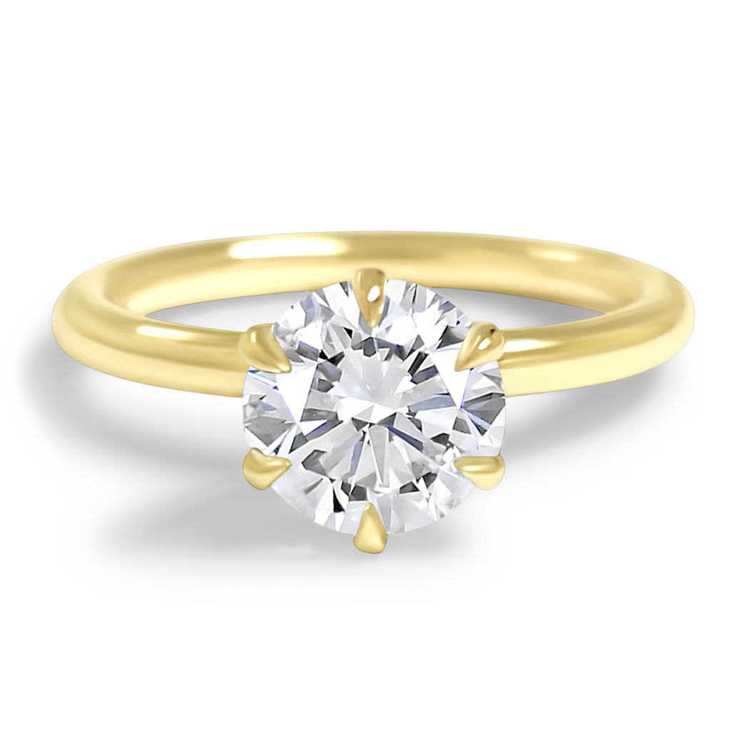 Golden Promise 2519-11